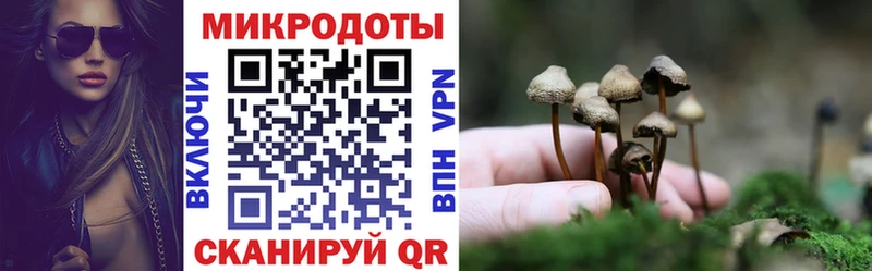 это клад  Уржум  Псилоцибиновые грибы мицелий 